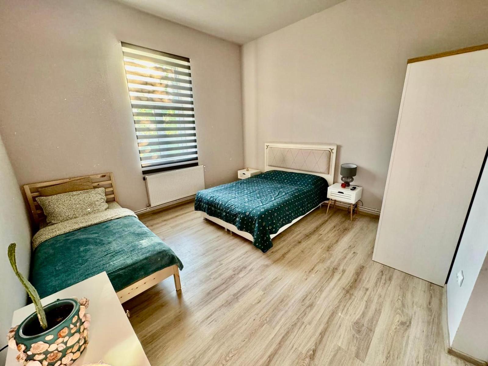 Serbian House Bed & Breakfast Timişoara Exterior foto